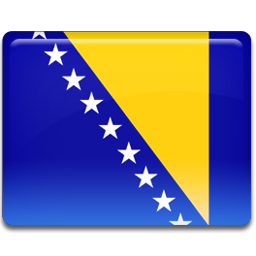 Bosnische vertaling | Tekom International | Bosnisch